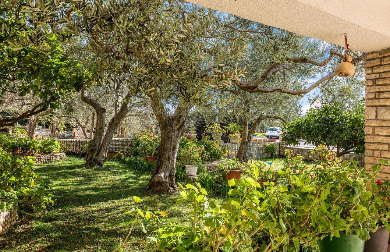 Apartmani Barun Szybenik Zewnętrze zdjęcie